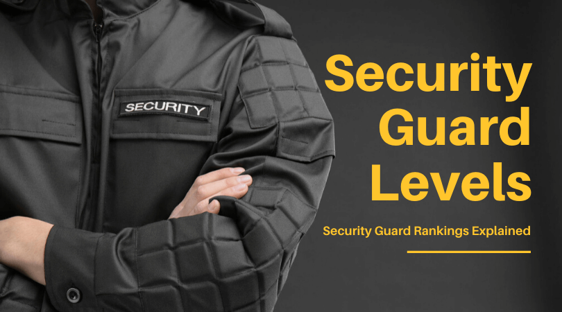 ¿Cuáles son los niveles de los guardias de seguridad?